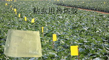 龙八- long8(国际)唯一官方网站